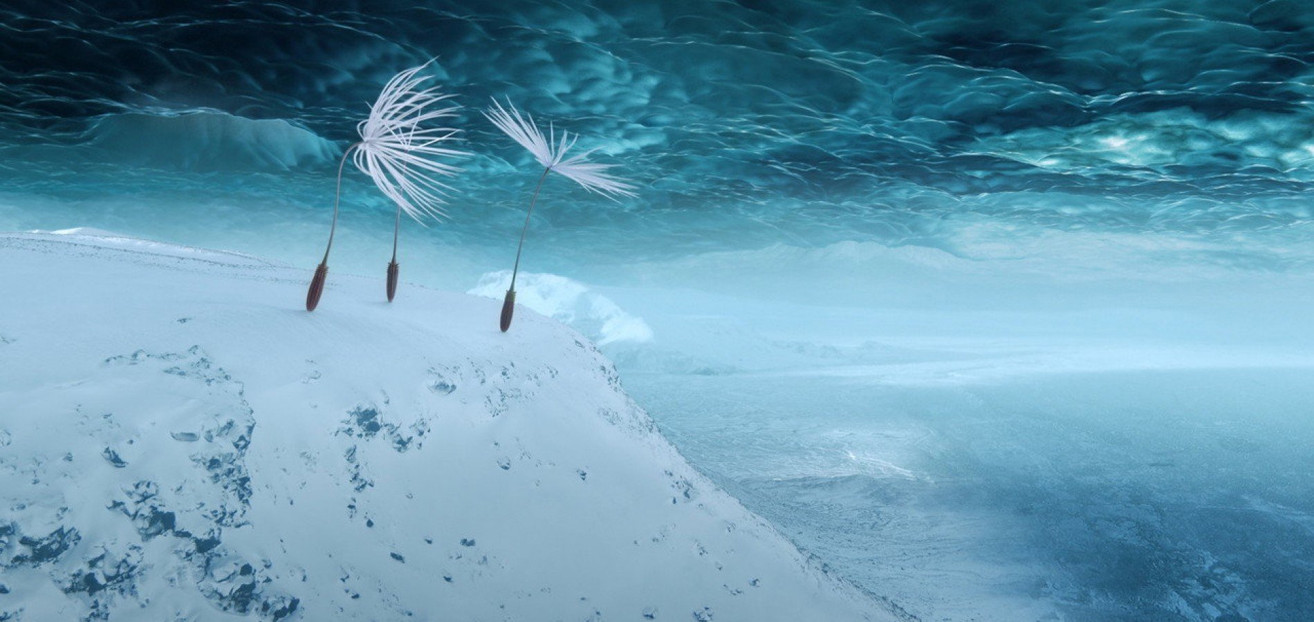 actualité Planètes Ciné Echanges par l'association LO PARVIS