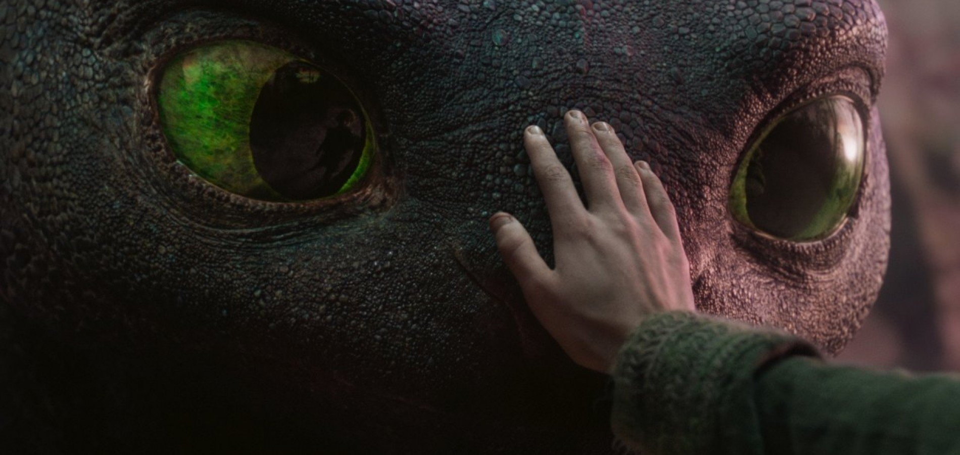 actualité Dragons