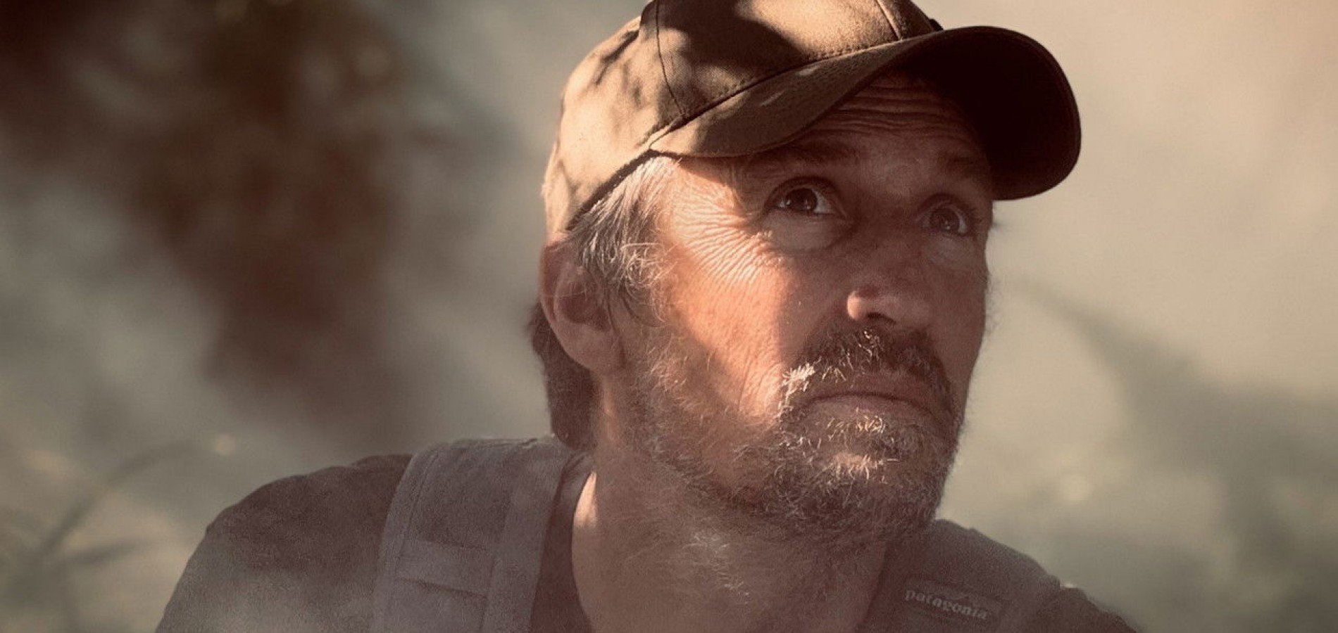 actualité Le Chant des forêts