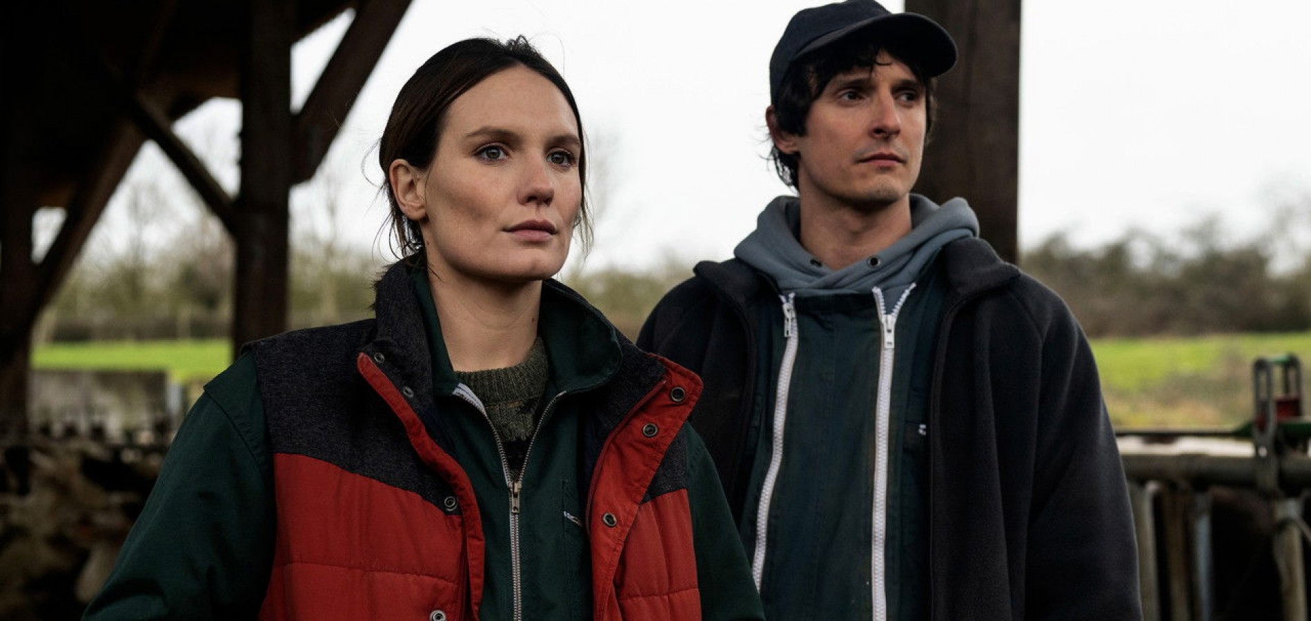 actualité La Guerre des prix