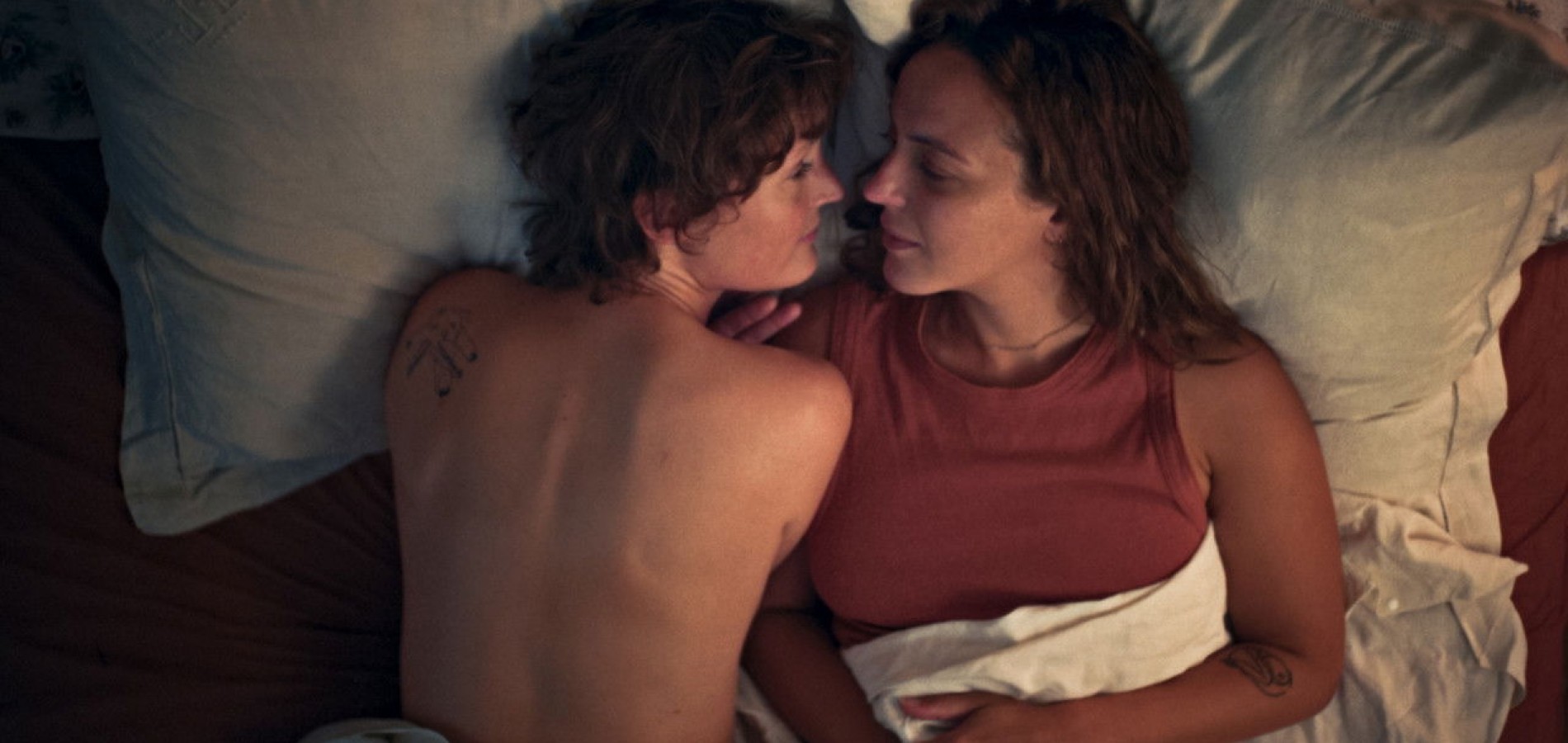 actualité Love me Tender