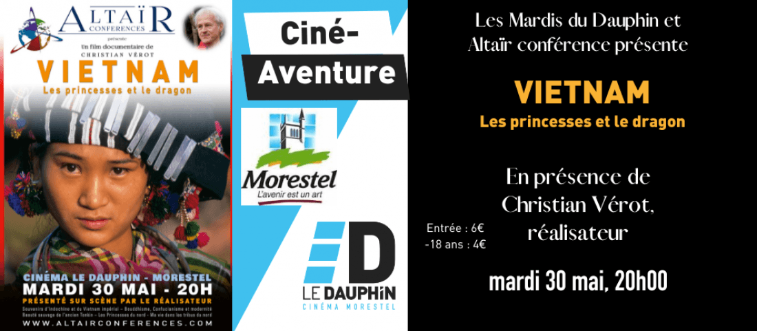 actualité Les Mardis du Dauphin