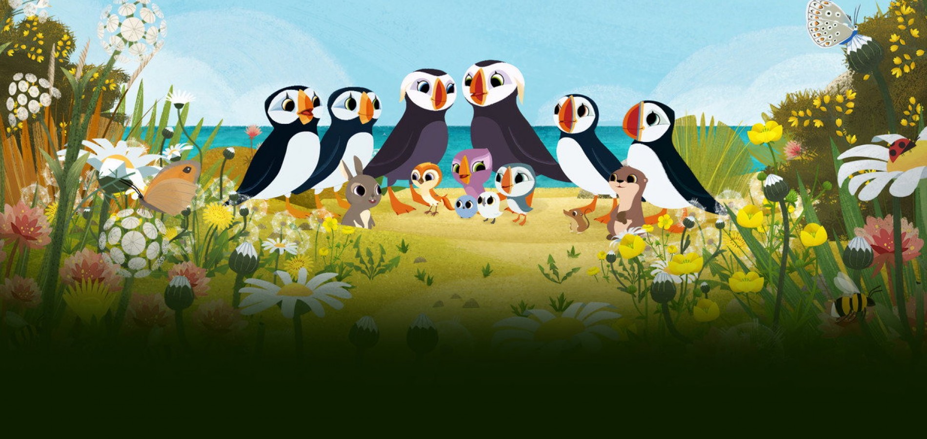 actualité Nouveaux Copains à Puffin Rock