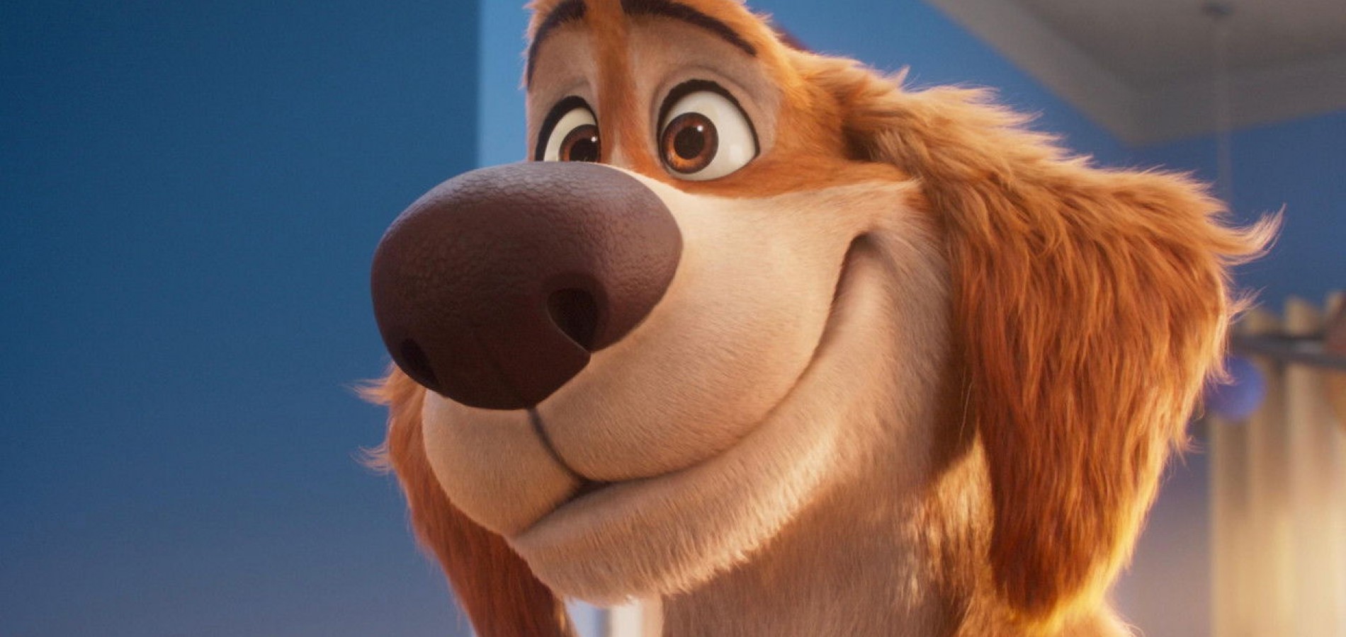 actualité Biscuit le chien fantastique