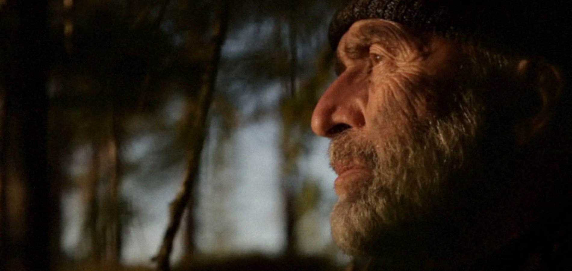 actualité Le chant des forêts