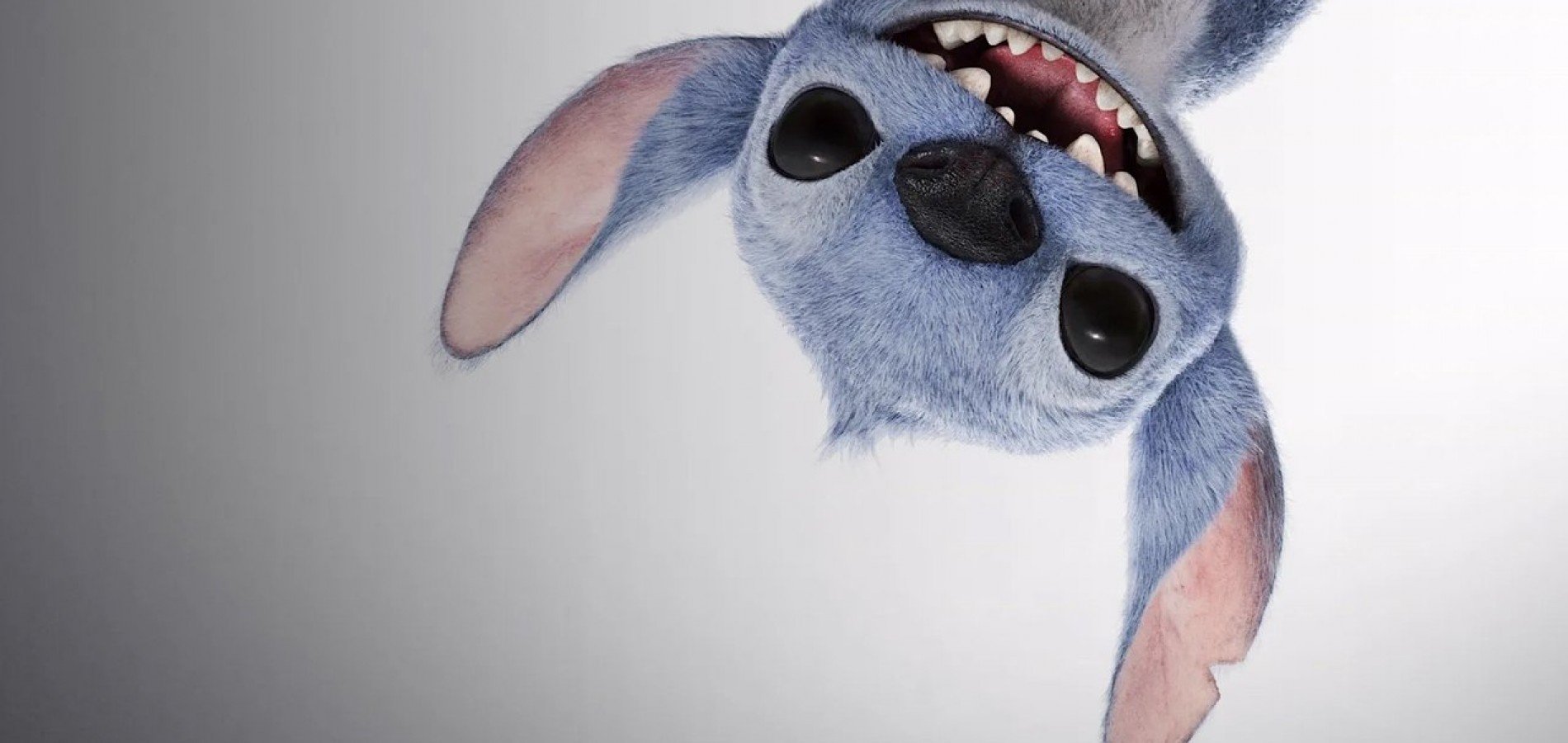 actualité Lilo & Stitch